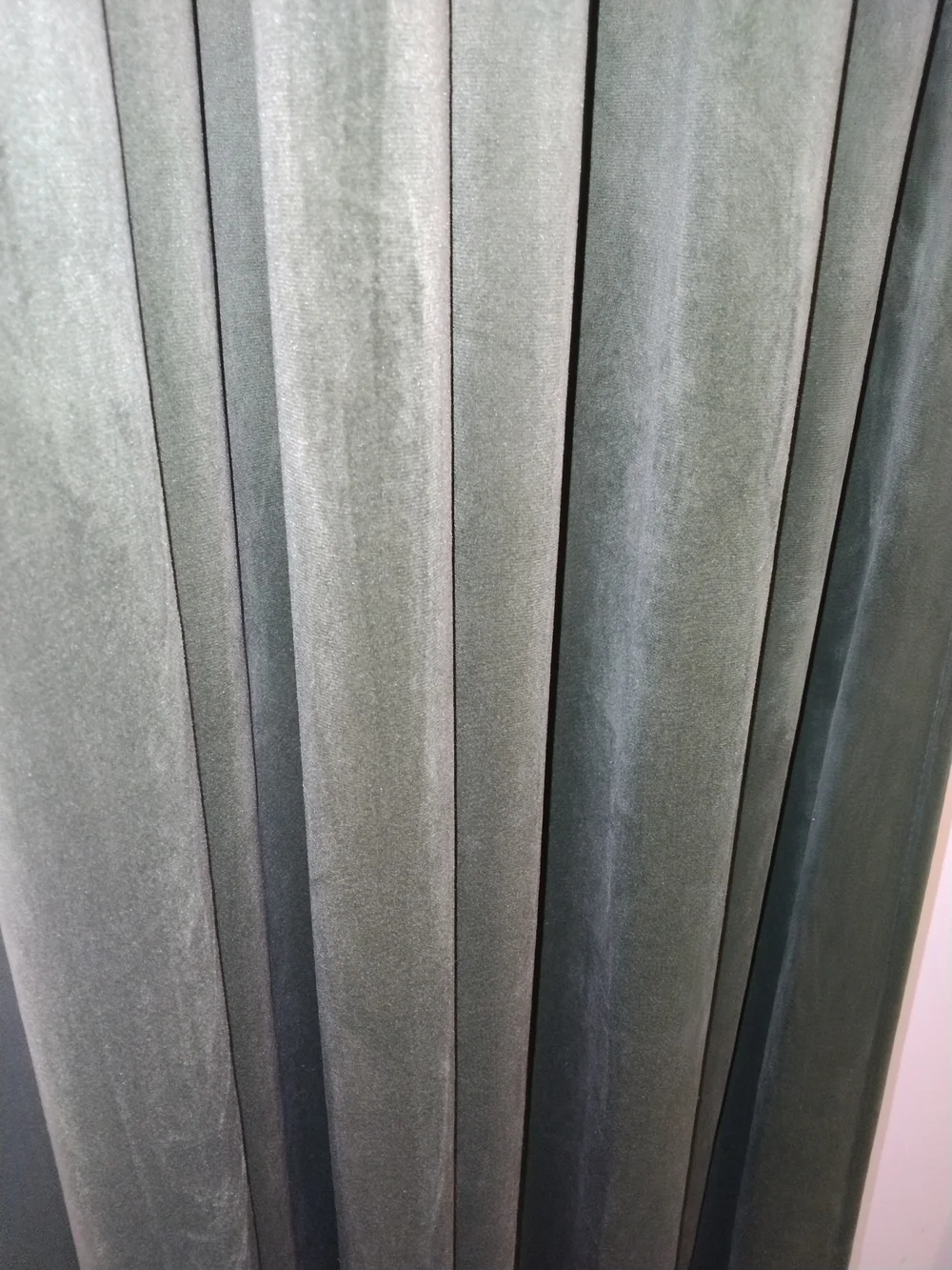 Plush Velvet Curtains (6) Panels in Olive Green 55